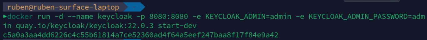 Docker run command output screenshot.