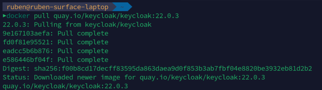 Docker pull comand output screenshoot.
