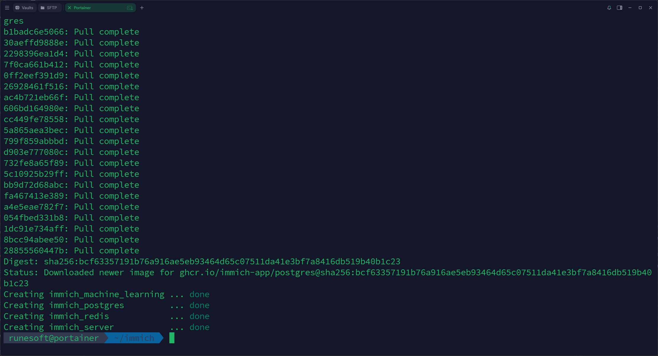 Salida de la terminal tras ejecutar docker compose up del proyecto de Immich.