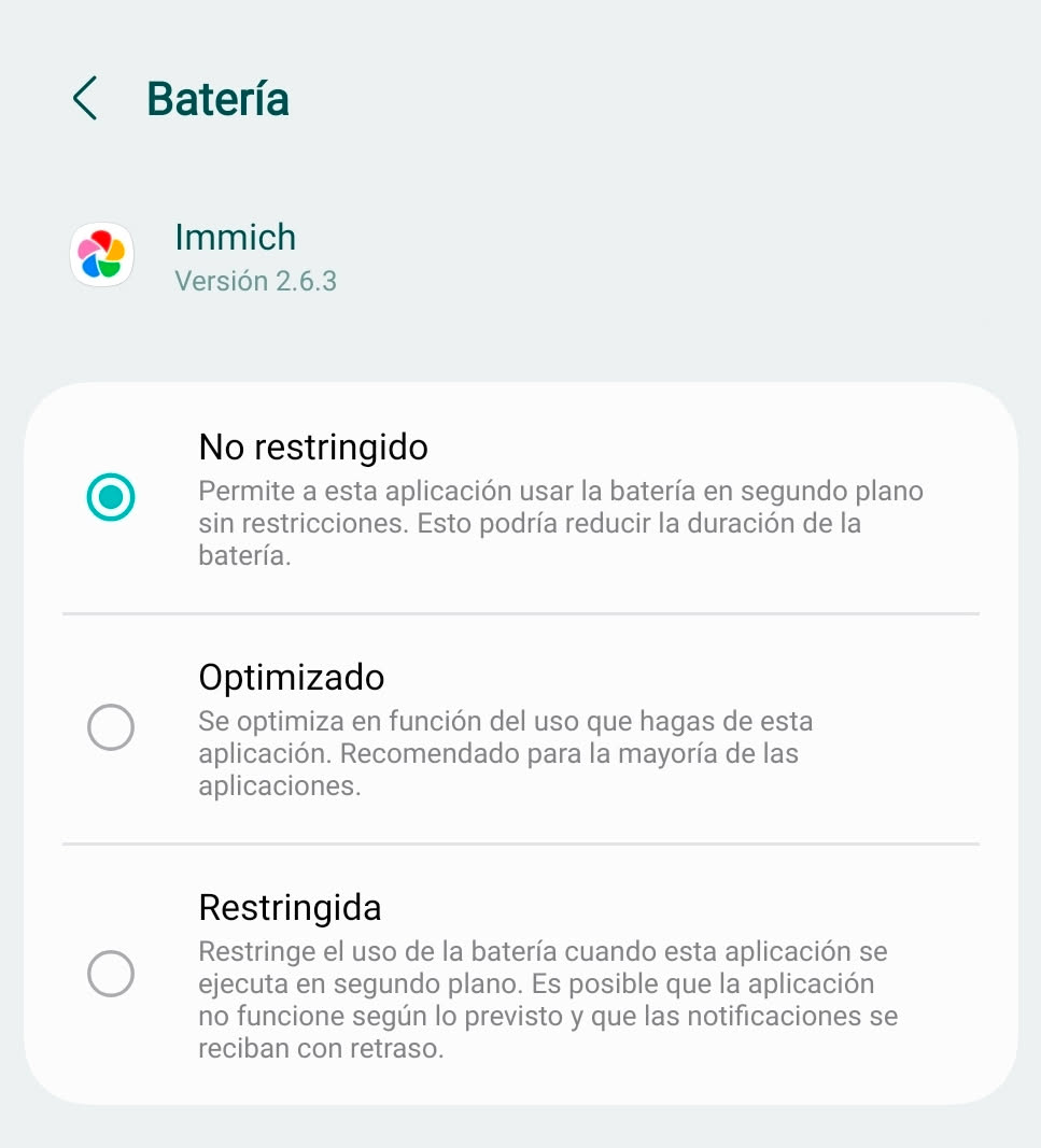Permisos de batería de Immich en la configuración de Android.