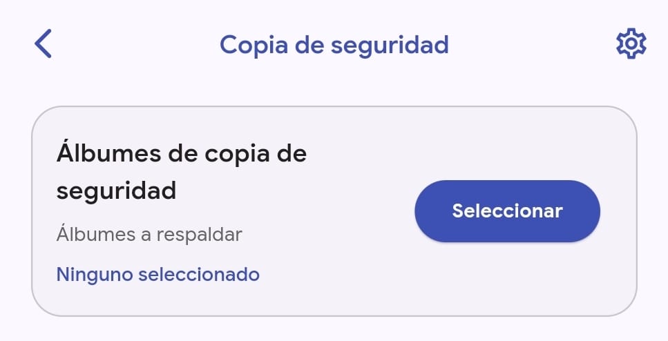 Pantalla de las opciones de copias de seguridad de imágenes de la app de Immich en Android.