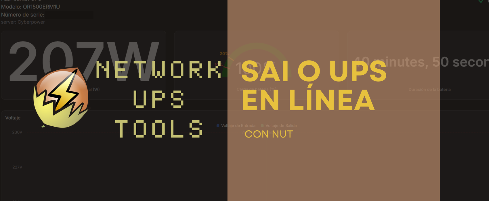 SAI en línea con NUT